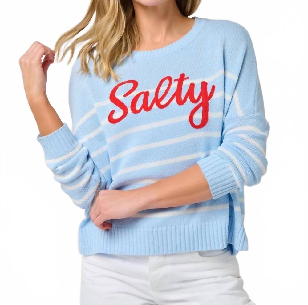 NEW SHIRALEAH relaxed fit salty sweater in baby blue stripe